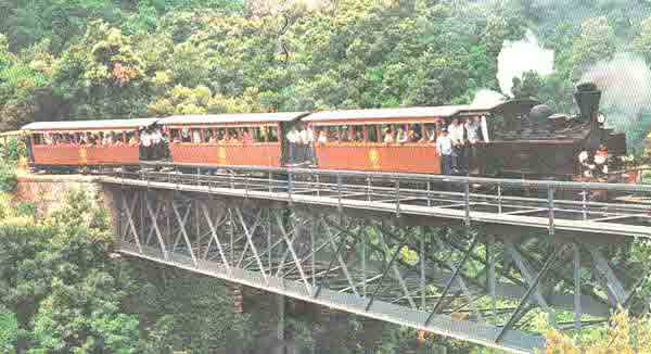 The little train of Pilio in the Mountain of the Centaurs.